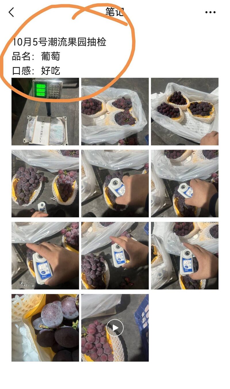潮流果园10月5号抽检记录：品名葡萄，口感好吃，附称重与糖度检测实拍