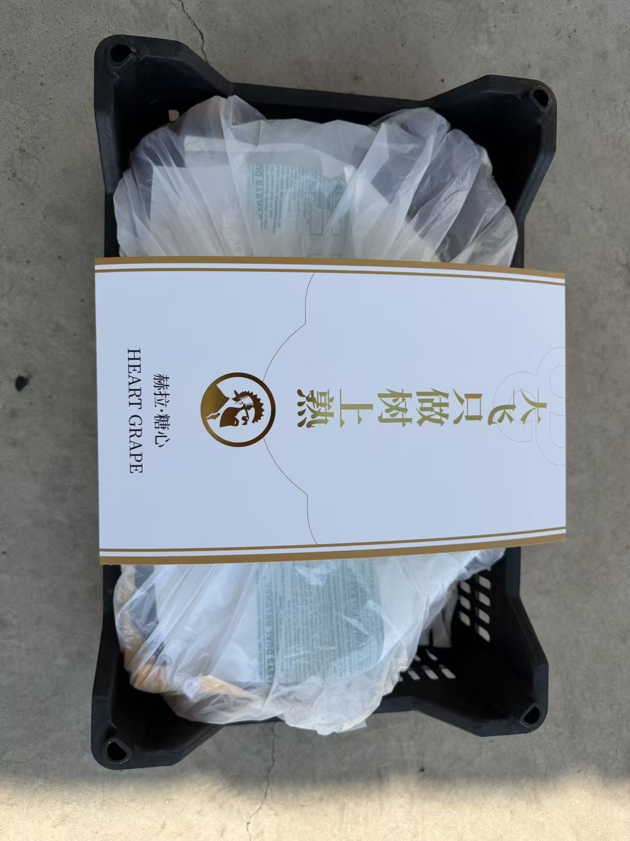赫拉·糖心包装盒，白色盒身金色文字：只做树上熟
