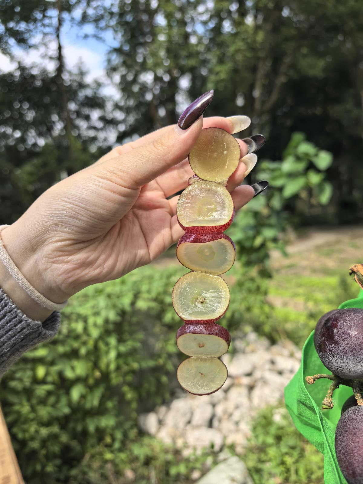冰糖心切面展示 琥珀色糖心