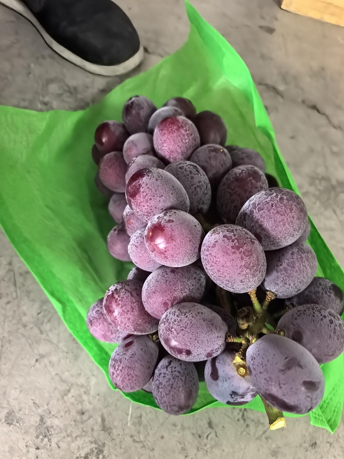包装纸葡萄串俯视陈列效果